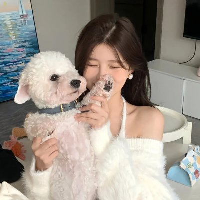 杰和沉默鲍伯的反击